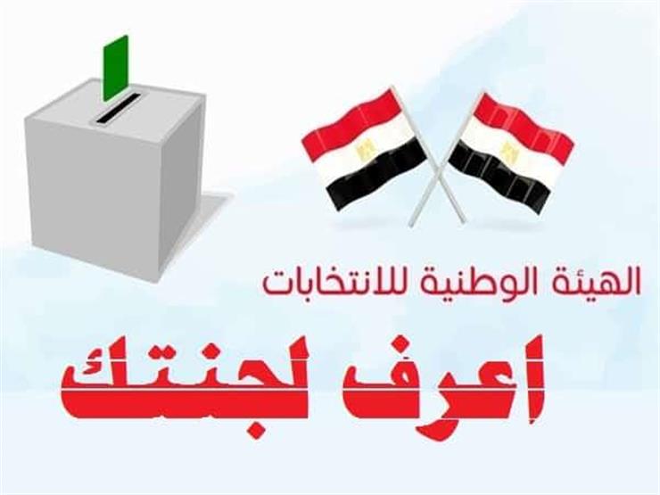 معرفة اللجنة الانتخابية في استفتاء الدستور 2019 عبر رابط الهيئة الوطنية للانتخابات