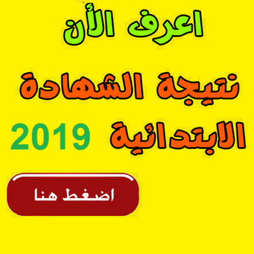 نتيجة الصف السادس الابتدائي محافظة القاهرة نهاية العام 2019
