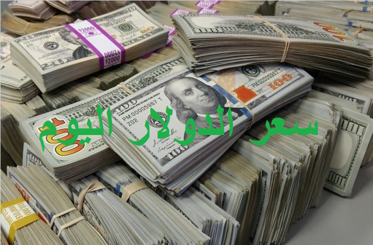سعر الدولار  اليوم .. الأخضر يواصل التراجع أمام الجنيه المصري لهذه الأسباب