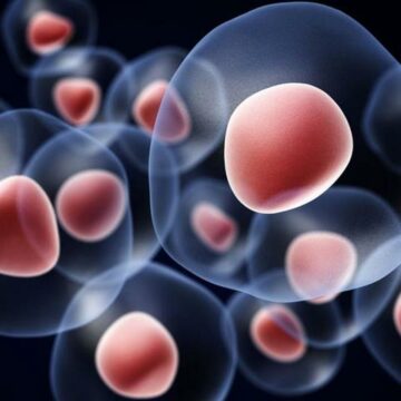 الخلايا الجذعية للبشرة: فوائد تقنية حقن الخلايا الجذعية للبشرة، وما الفرق بين الخلايا الجذعية والبلازما للبشرة