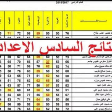 “متاحة الآن” نتائج الصف السادس الإعدادي ٢٠١٩ في العراق في كل المحافظات العراقية علي الموقع الرسمي