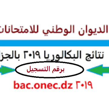 خلال ساعات | نتائج البكالوريا 2019 الجزائر برقم التسجيل على bac.onec.dz موقع التربية الوطنية