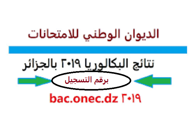 خلال ساعات | نتائج البكالوريا 2019 الجزائر برقم التسجيل على bac.onec.dz موقع التربية الوطنية