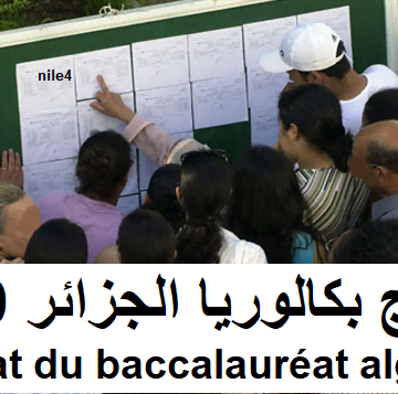 Apparu نتائج بكالوريا الجزائر 2019 Bac برقم التسجيل| résultat du baccalauréat algerie عبر بوابة التربية الوطنية