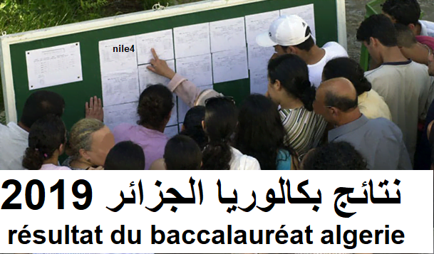 Apparu نتائج بكالوريا الجزائر 2019 Bac برقم التسجيل| résultat du baccalauréat algerie عبر بوابة التربية الوطنية