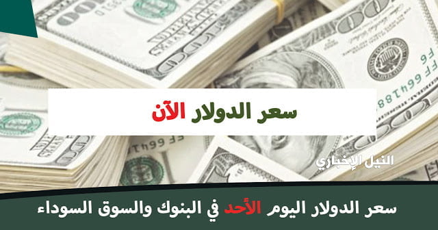 سعر الدولار اليوم الأحد في مصر 7/7/2019 في البنوك والسوق السوداء #مُحدث