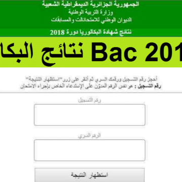 رابط شغال نتائج البكالوريا 2019 الجزائر الآن نتيجة ال BAC حسب الاسم ورقم التسجيل