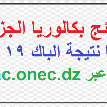 نتائج بكالوريا الجزائر 2019 bac.onec.dz رابط شغال برقم التسجيل عبر موقع الديوان الوطني للإمتحانات