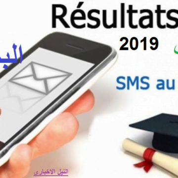 “soon” نتائج البكالوريا bac 2019 الدور الأول بتونس Résultats du baccalauréat en Tunisie عبر موقع التربية الوطنية وبالـ sms