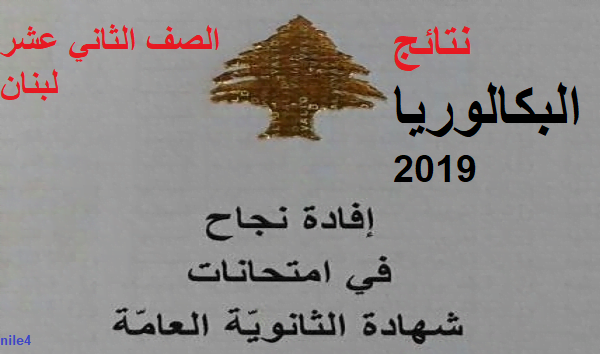 هنا نتائج البكالوريا 2019 الدورة الإستثنائية لبنان| نتائج الصف الثاني عشر عبر موقع وزارة التربية mehe.gov.lb