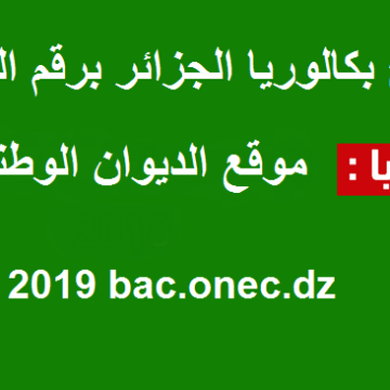 “استطلاع” نتائج البكالوريا 2019 الجزائر برقم التسجيل عبر موقع الديوان الوطني onec.dz