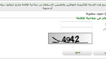 طريقة استعلام عن إقامة وافد من أبشر وزارة الداخلية السعودية برقم الإقامة أو رقم الجواز إلكترونيًا