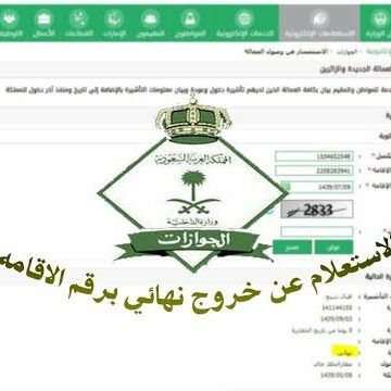 برقم الهوية استعلام عن تأشيرة خروج وعودة من موقع بوابة أبشر الجوازات السعودية
