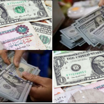 سعر الدولار في مصر اليوم الخميس 15 أغسطس 2019 بالتحديث المستمر