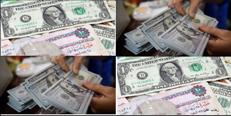 سعر الدولار في مصر اليوم الخميس 15 أغسطس 2019 بالتحديث المستمر