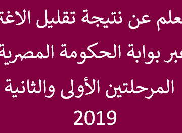 الآن برقم الجلوس نتيجة تقليل الاغتراب 2019 عبر موقع بوابة الحكومة المصرية tansik.egypt.gov.eg