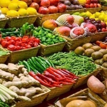 أخبار أسواق الغذاء اليوم بمصر 11 سبتمبر| شامل أسعار الخُضروات والفاكهة بمختلف الأصناف