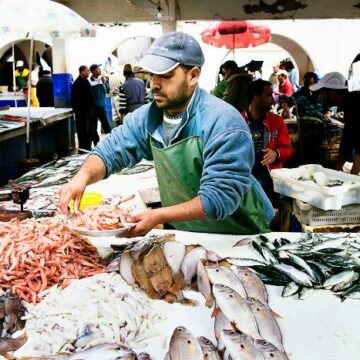 أسعار الأسماك اليوم الجمعة في مصر 6 سبتمبر| الجمبري عند مُعدلاتٍ قياسية وثبات بمُعظم الأصناف