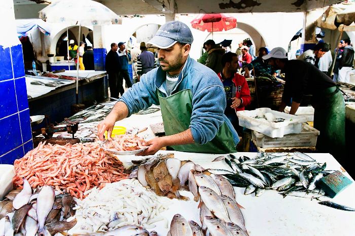 أسعار الأسماك اليوم الجمعة في مصر 6 سبتمبر| الجمبري عند مُعدلاتٍ قياسية وثبات بمُعظم الأصناف