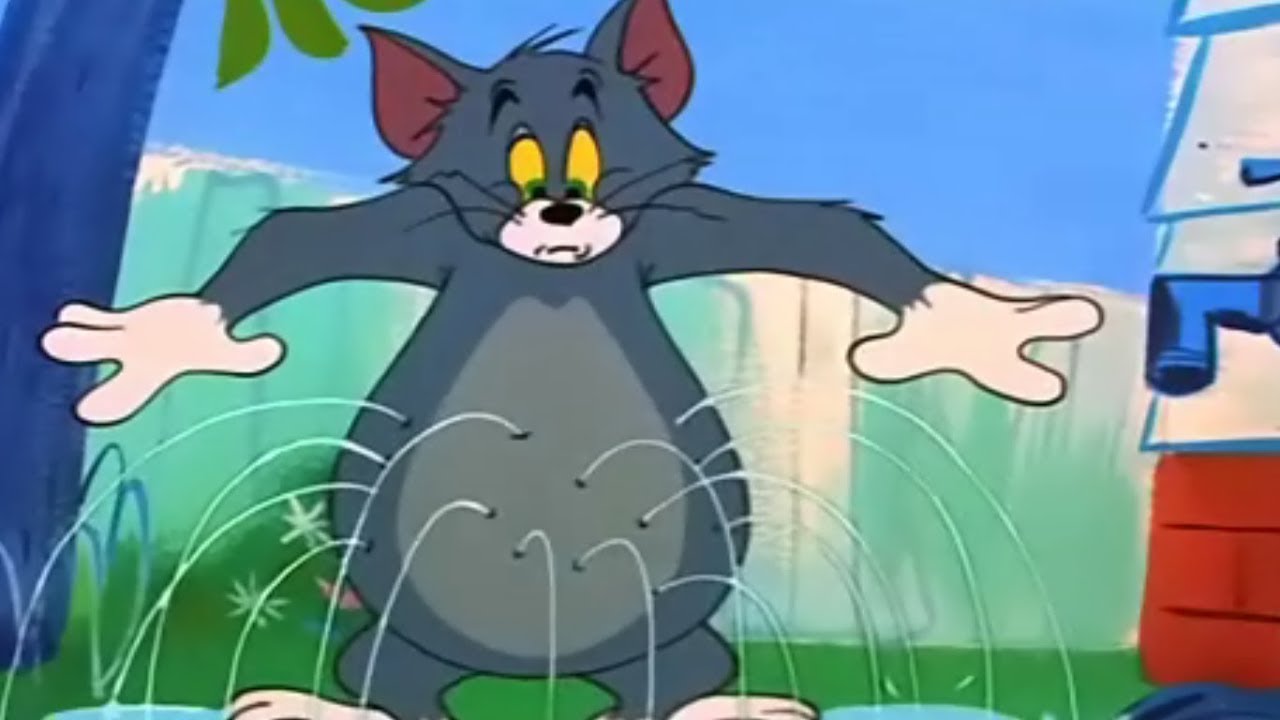 التقط اشارة تردد كرتون توم وجيري 2019 || استقبل Tom and Jerry  على النايل سات