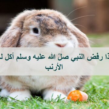 لماذا رفض النبي محمد صلّ الله عليه وسلم أكل لحم الأرنب رغم أنه حلال ؟