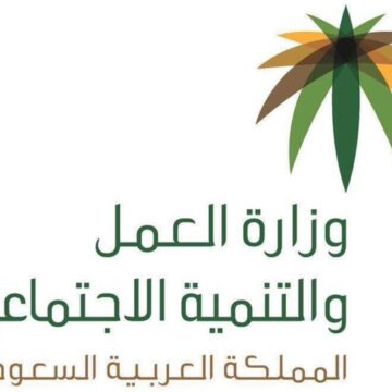 موعد صرف المساعدة المقطوعة لشهر محرم 1441 من خلال رابط وزارة العمل والتنمية الاجتماعية السعودية