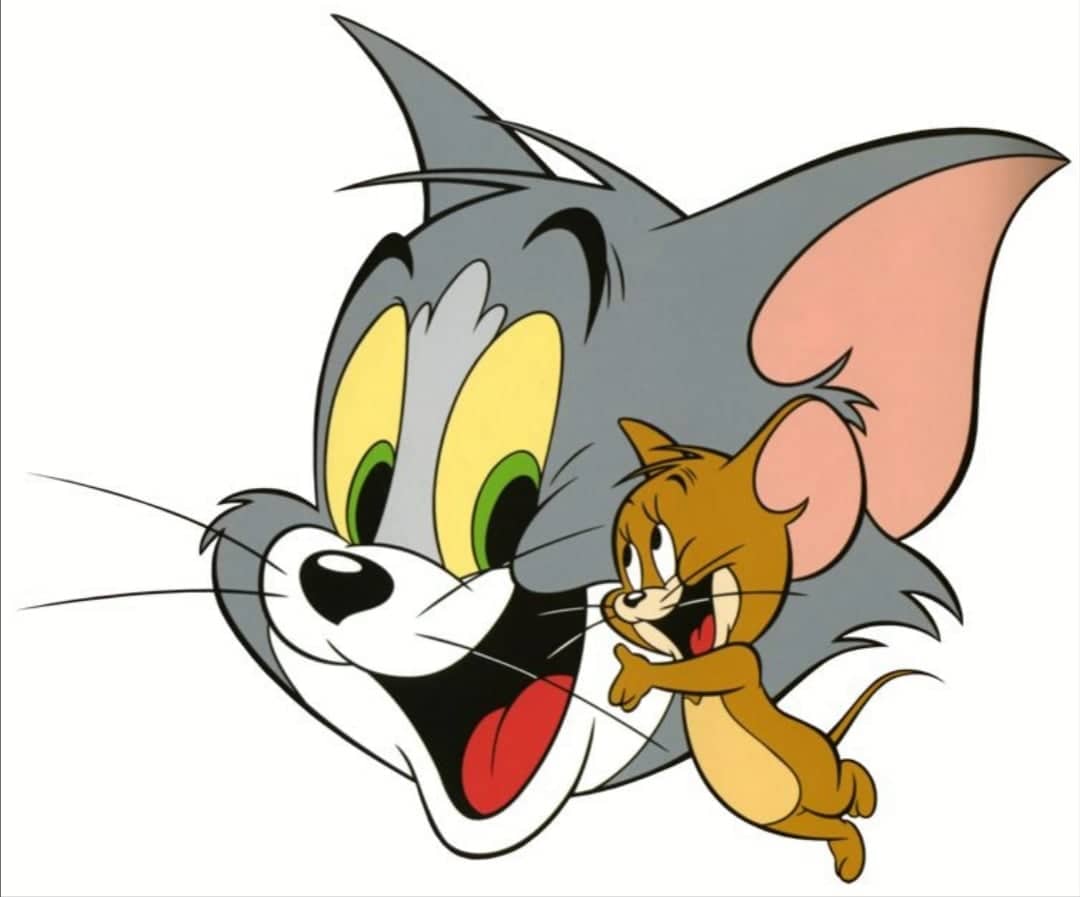 تردد قناة توم وجيري لكارتون الأطفال اضبط الآن أقوى إشارة بث Frequency Tom Jerry على النايل سات
