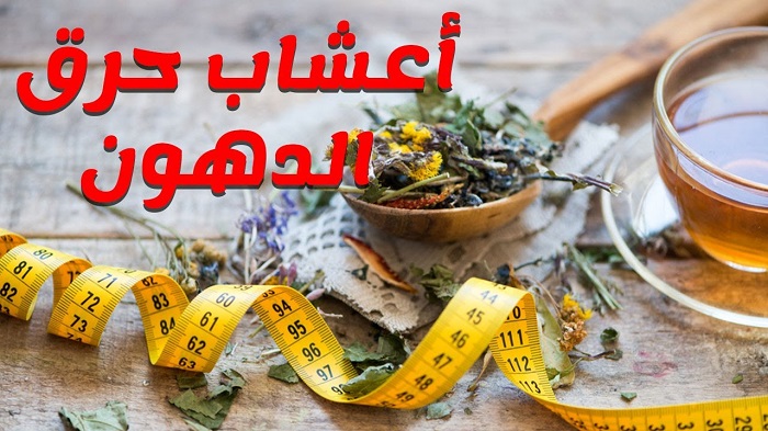 التخسيس السريع بالاعشاب