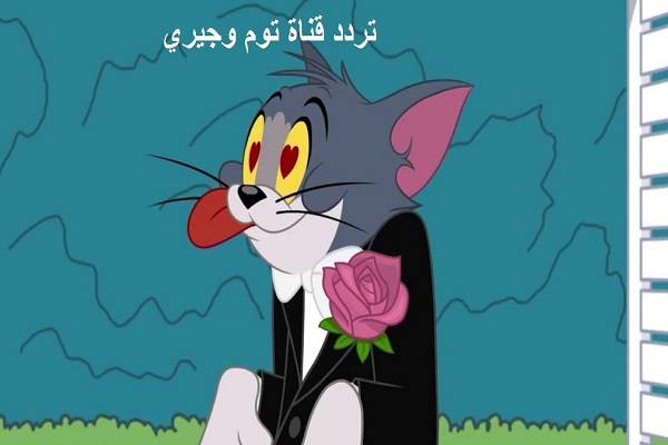 تردد قناة توم وجيري 2020 Tom and Jerry لمتابعة أجمل أفلام الكارتون القط والفأر على نايل سات