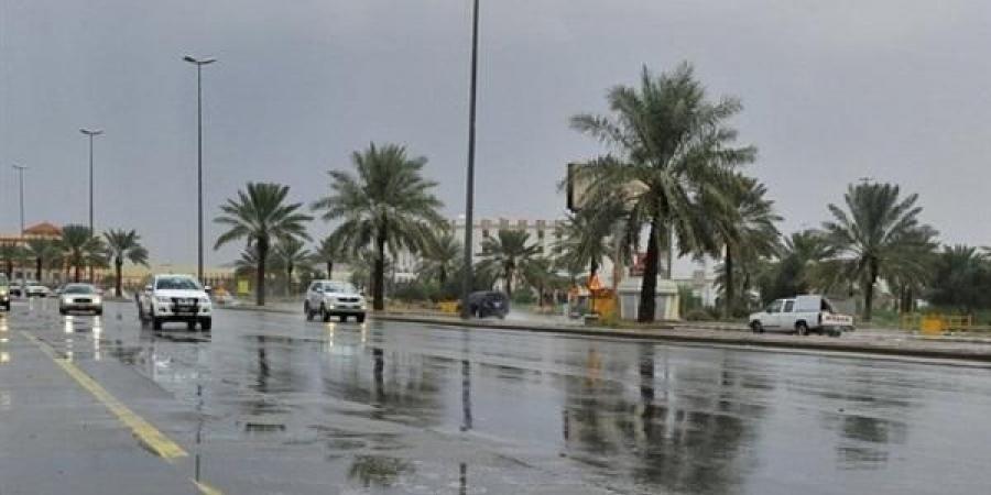 بالفيديو.. حالة الطقس في السعودية غدا الأربعاء 29/1/2020 هطول زخات رعدية على مكة المكرمة