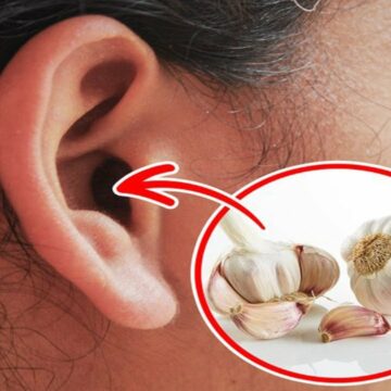 ماذا يحدث عند وضع فص ثوم في الأذن لمدة 15 دقيقة.. فوائد غير متوقعة