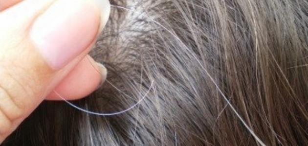 وصفات طبيعية للتخلص من الشعر الأبيض وعلاج الشيب المبكر بأقل التكاليف في المنزل
