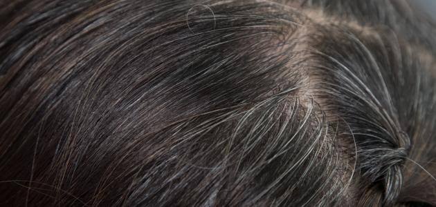 وصفة الحناء الطبيعية لعلاج الشيب ولتغير لون الشعر