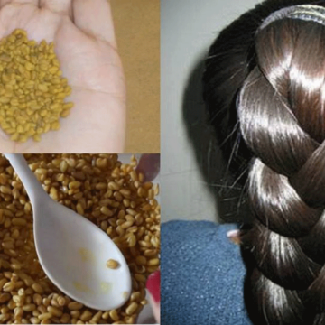 طريقة تطويل الشعر بالحلبة في شهر واحد بوصفة منزلية سهلة ومجربة تجعل شعرك كالهنديات