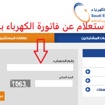 الاستعلام عن فاتورة الكهرباء برقم العداد عبر موقع الشركة السعودية للكهرباء وطرق السداد