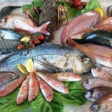 أسعار الأسماك اليوم السبت 1/2/2020 في سوق العبور