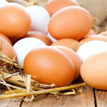 دراسة علمية تحذر إذا كنت ممن يتناولون البيض يوميًا فأكله بتلك الطريقة له أَضرار ومضاعفات خطيرة