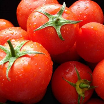 فوائد خارقة لا تُصدق للطماطم على الجسم والبشرة ستجعلك تستعملها يوميًا