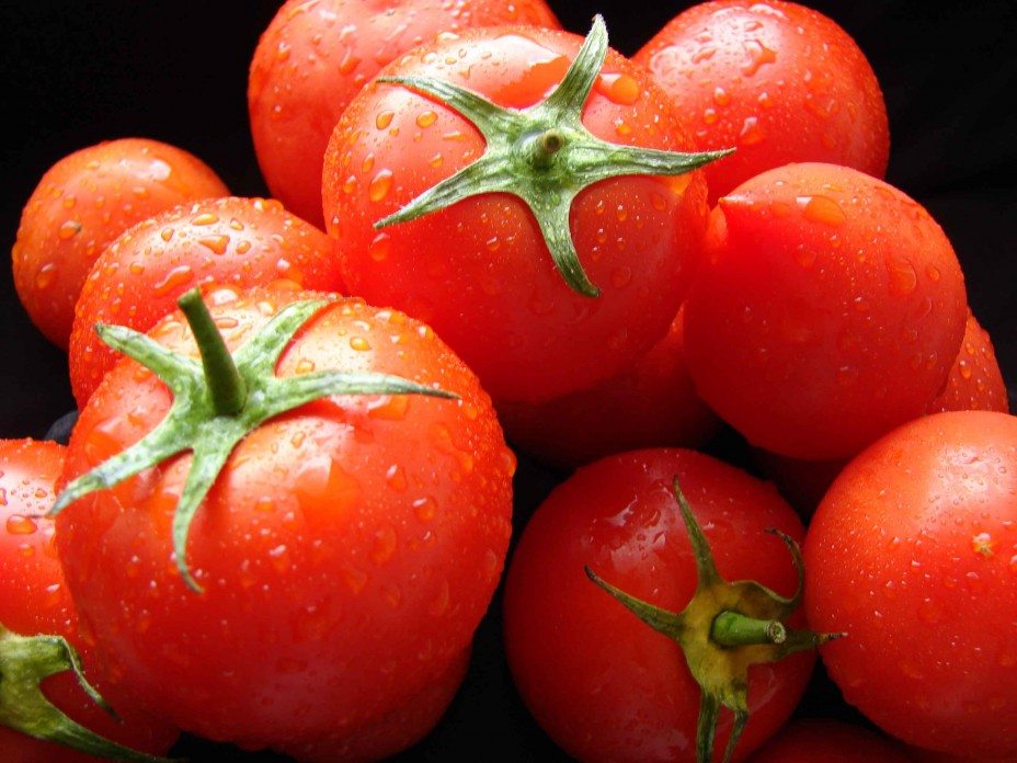 فوائد خارقة لا تُصدق للطماطم على الجسم والبشرة ستجعلك تستعملها يوميًا