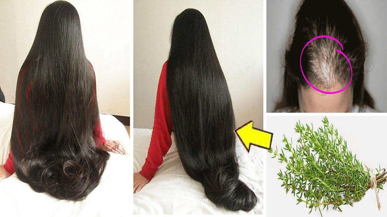وصفات طبيعية لتطويل الشعر استخدمي تلك العشبة بانتظام ستلاحظين الفرق في طول شعرك بشكل مذهل