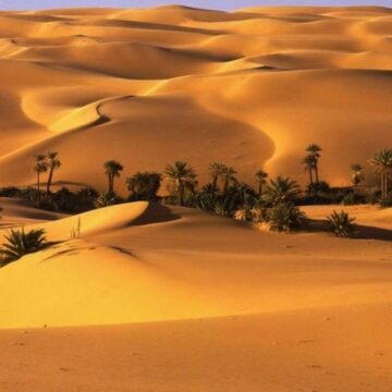 تفسير رؤية الصحراء في الحلم والدلالات التي تُشير إليها