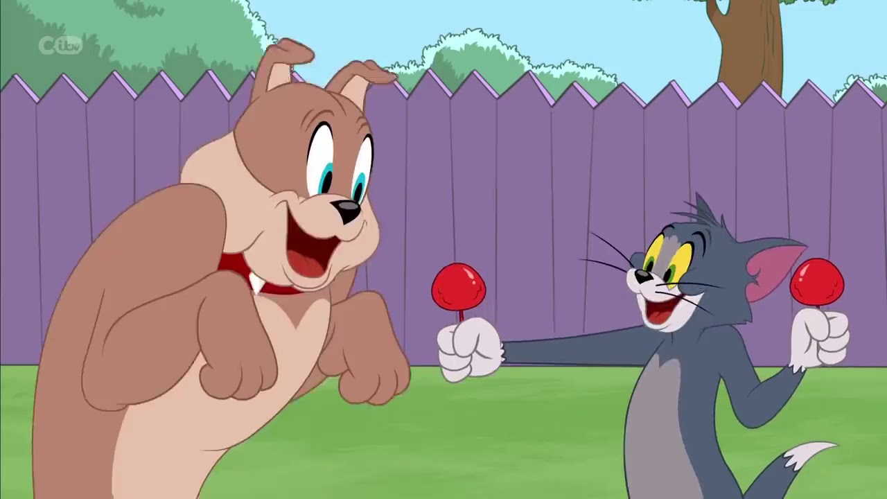 تردد قناة توم وجيري الجديد 2020 للاستمتاع بالمغامرات والمقالب المضحكة بين القط والفأر