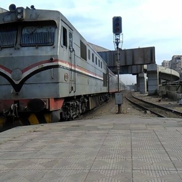 حمار في قطار الصعيد يُثير ضجة في مصر والسكة الحديد تُصدر بيان بشأن الواقعة