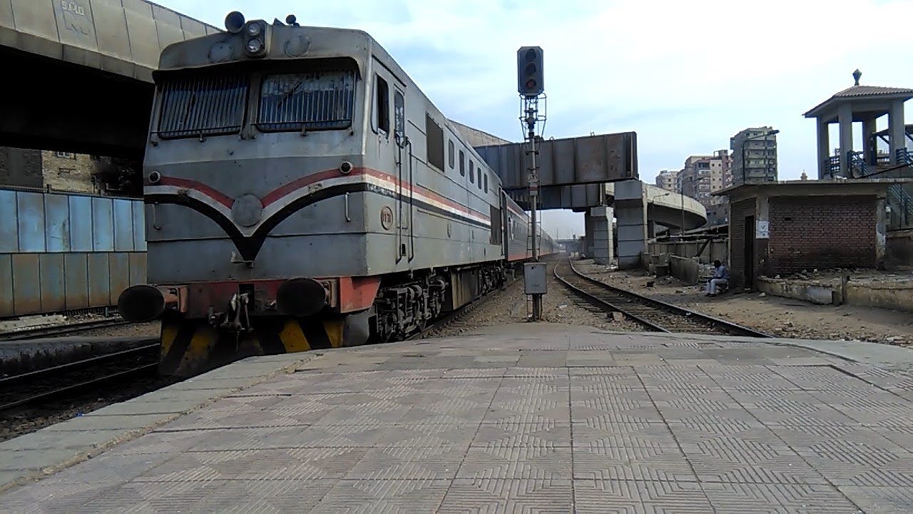 حمار في قطار الصعيد يُثير ضجة في مصر والسكة الحديد تُصدر بيان بشأن الواقعة