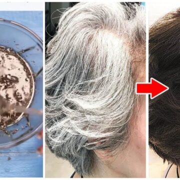 علاج الشيب بوصفة منزلية سحرية وسهلة وودعي الشعر الأبيض للأبد من أول استخدام