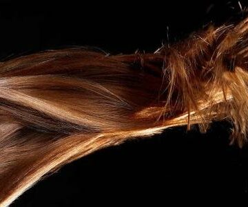 طريقة وصفة صحراوية لتطويل الشعر بزيت الصبار وصناعة شامبو من الصبار لعلاج تساقط الشعر