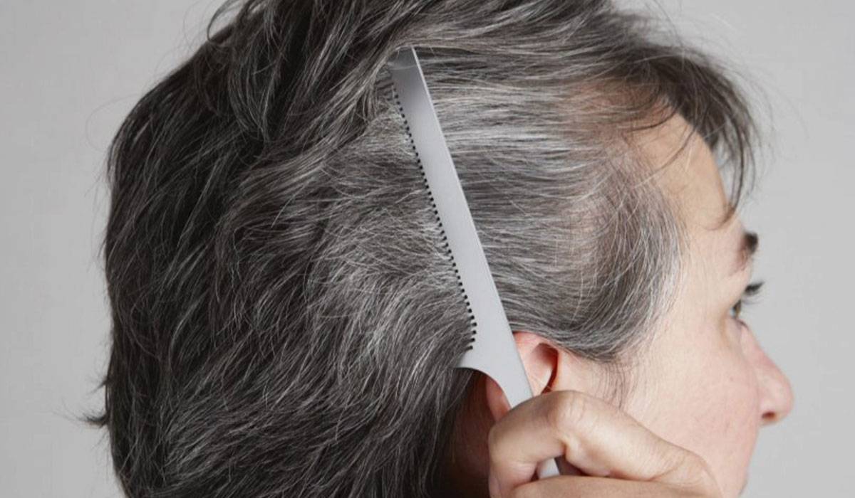 وصفة علاج شيب الشعر بأوراق الريحان خلطة سريعة وفعالة