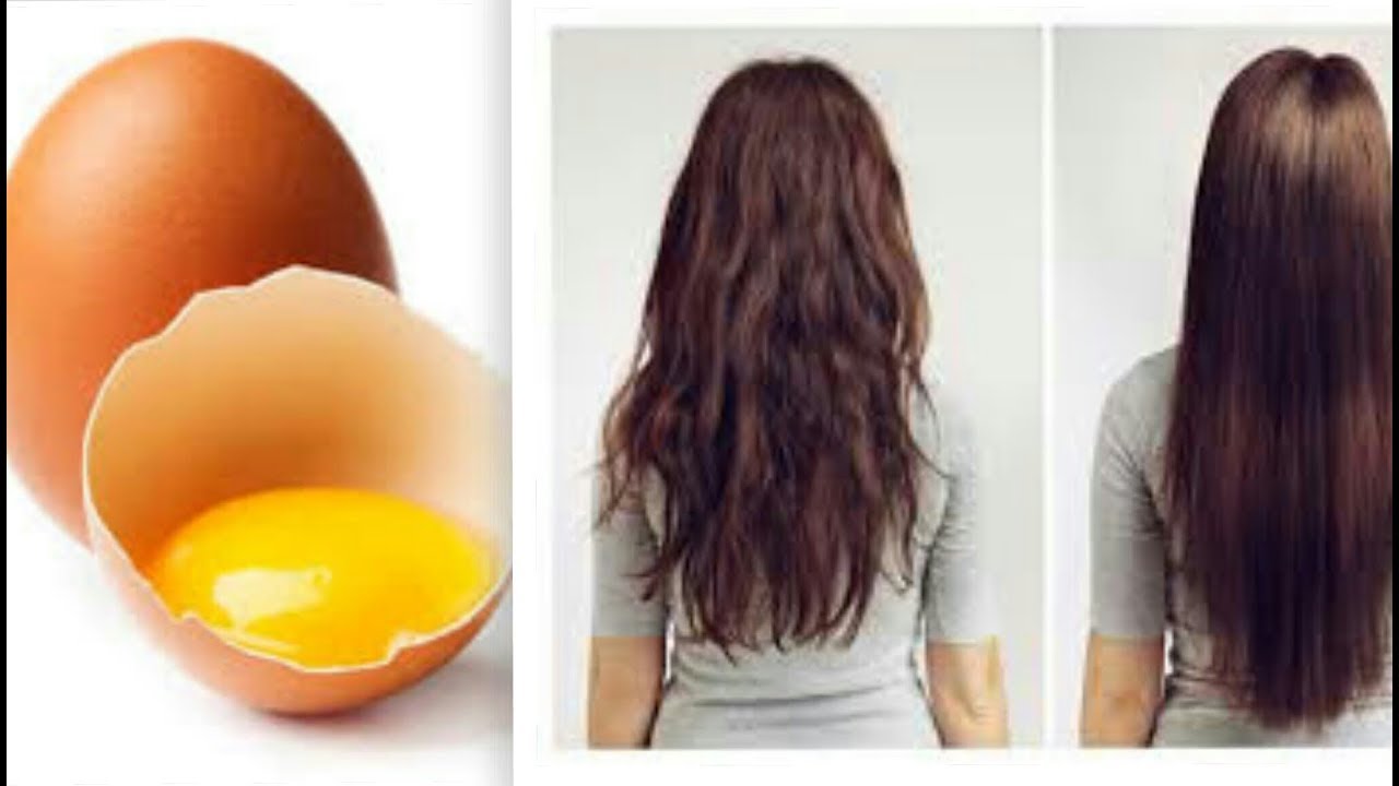 خلطات البيض المختلفة لحماية الشعر من التساقط وتعزيز نموه وتكثيفه في فترة قصيرة جداً