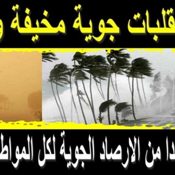 الأرصاد عاصفة ترابية تضرب مصر وتصدر تحذيرات عاجلة للمواطنين بشأن طقس الأيام المقبلة