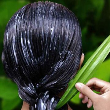 فوائد الصبار للعناية بالشعر الدهني وعلاج تساقط الشعر وصفات أكبر مراكز العناية بالشعر